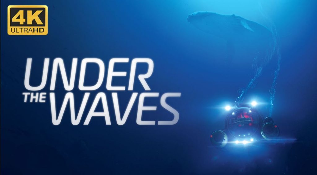 碧波之下 Under The Waves|官方中文|解压直接玩（YX398）-SGR游戏